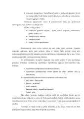 Prekių pozicionavimo principai 6 puslapis