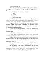 Prekių pozicionavimo principai 8 puslapis