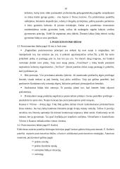 Pozicionavimas – pelningiausia pardavimų strategija 19 puslapis