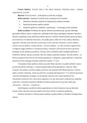 Pozicionavimas – pelningiausia pardavimų strategija 3 puslapis