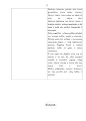 Lietuvos valstybės 1918 metų Konstitucijos ir Lietuvos Respublikos (LR) 1992 metų Konstitucijos lyginamoji analizė 19 puslapis