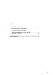 Lietuvos žydų pasipriešinimas nacių vykdomai politikai 2 puslapis