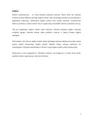 Logikos mokslo raida 3 puslapis
