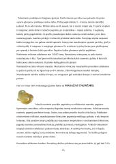 Masažo ir kineziterapijos veiksmingumas esant kaklinės stuburo dalies osteochondrozei 13 puslapis