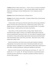 Masažo ir kineziterapijos veiksmingumas esant kaklinės stuburo dalies osteochondrozei 20 puslapis