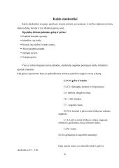 Masažo ir kineziterapijos veiksmingumas esant kaklinės stuburo dalies osteochondrozei 4 puslapis