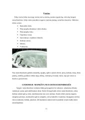 Masažo ir kineziterapijos veiksmingumas esant kaklinės stuburo dalies osteochondrozei 9 puslapis