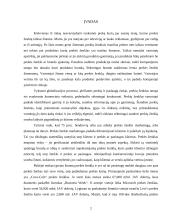 Prekės ženklų palyginimas: "Pepsi" ir "Coca-Cola" 2 puslapis