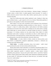 Prekės ženklų palyginimas: "Pepsi" ir "Coca-Cola" 19 puslapis