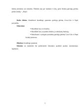 Prekės ženklų palyginimas: "Pepsi" ir "Coca-Cola" 3 puslapis