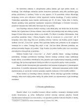 Prekės ženklų palyginimas: "Pepsi" ir "Coca-Cola" 5 puslapis