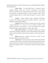 Prekės ženklų palyginimas: "Pepsi" ir "Coca-Cola" 6 puslapis