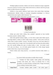 Prekinio ženklo vystymo strategija 11 puslapis