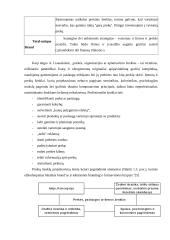 Prekinio ženklo vystymo strategija 12 puslapis