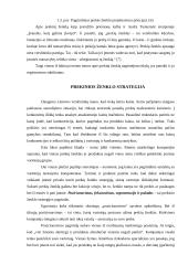 Prekinio ženklo vystymo strategija 13 puslapis