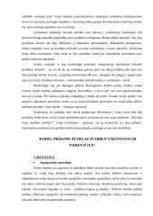 Prekinio ženklo vystymo strategija 14 puslapis