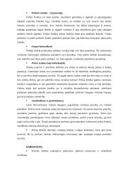 Prekinio ženklo vystymo strategija 15 puslapis