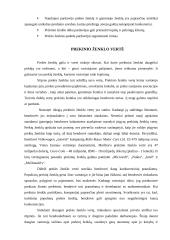 Prekinio ženklo vystymo strategija 16 puslapis