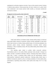 Prekinio ženklo vystymo strategija 17 puslapis