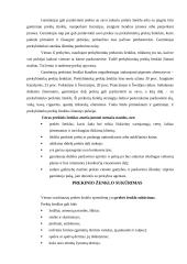 Prekinio ženklo vystymo strategija 18 puslapis