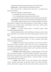 Prekinio ženklo vystymo strategija 19 puslapis