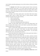 Prekinio ženklo vystymo strategija 20 puslapis