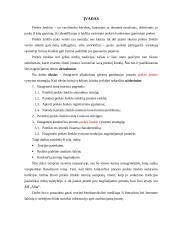 Prekinio ženklo vystymo strategija 3 puslapis