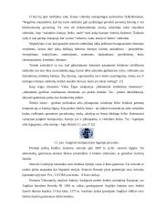 Prekinio ženklo vystymo strategija 8 puslapis