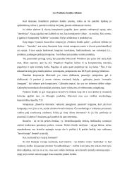 Prekinio ženklo vystymo strategija 10 puslapis