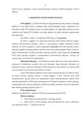 Pridėtinės vertės mokesčio (PVM) pakeitimo įtaka valstybės biudžetui 6 puslapis