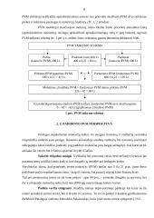 Pridėtinės vertės mokesčio (PVM) pakeitimo įtaka valstybės biudžetui 8 puslapis