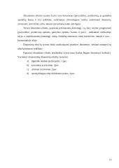 Prognozavimas 15 puslapis