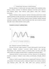 Prognozavimas 17 puslapis