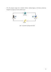 Programų sistemų apsaugos nuo nesankcionuoto naudojimo metodai 11 puslapis