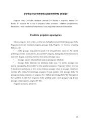 Programų sistemų apsaugos nuo nesankcionuoto naudojimo metodai 13 puslapis