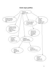 Programų sistemų apsaugos nuo nesankcionuoto naudojimo metodai 14 puslapis