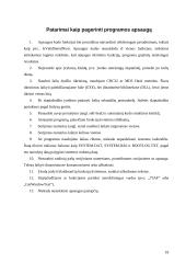 Programų sistemų apsaugos nuo nesankcionuoto naudojimo metodai 17 puslapis