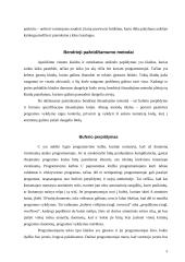 Programų sistemų apsaugos nuo nesankcionuoto naudojimo metodai 4 puslapis