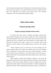 Programų sistemų apsaugos nuo nesankcionuoto naudojimo metodai 6 puslapis