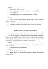 Programų sistemų apsaugos nuo nesankcionuoto naudojimo metodai 8 puslapis