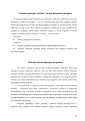 Programų sistemų apsaugos nuo nesankcionuoto naudojimo metodai 9 puslapis