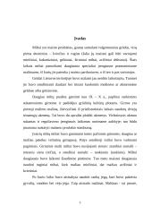 Miltų gamyba: AB "Vievio malūnas" 2 puslapis