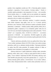 Miltų gamyba: AB "Vievio malūnas" 19 puslapis