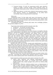 Protekcionizmo metodai tarptautinėje prekyboje 13 puslapis