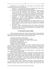 Protekcionizmo metodai tarptautinėje prekyboje 15 puslapis