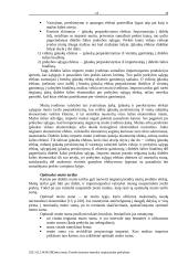 Protekcionizmo metodai tarptautinėje prekyboje 17 puslapis