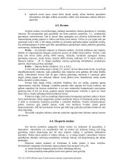 Protekcionizmo metodai tarptautinėje prekyboje 18 puslapis