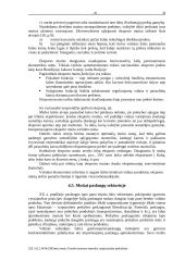 Protekcionizmo metodai tarptautinėje prekyboje 19 puslapis