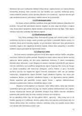 Minios psichologijos reiškinys 11 puslapis