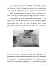 Miofascialinio atpalaidavimo taikymas koneziterapijoje 11 puslapis